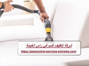 شركة تنظيف كنب في راس الخيمة 